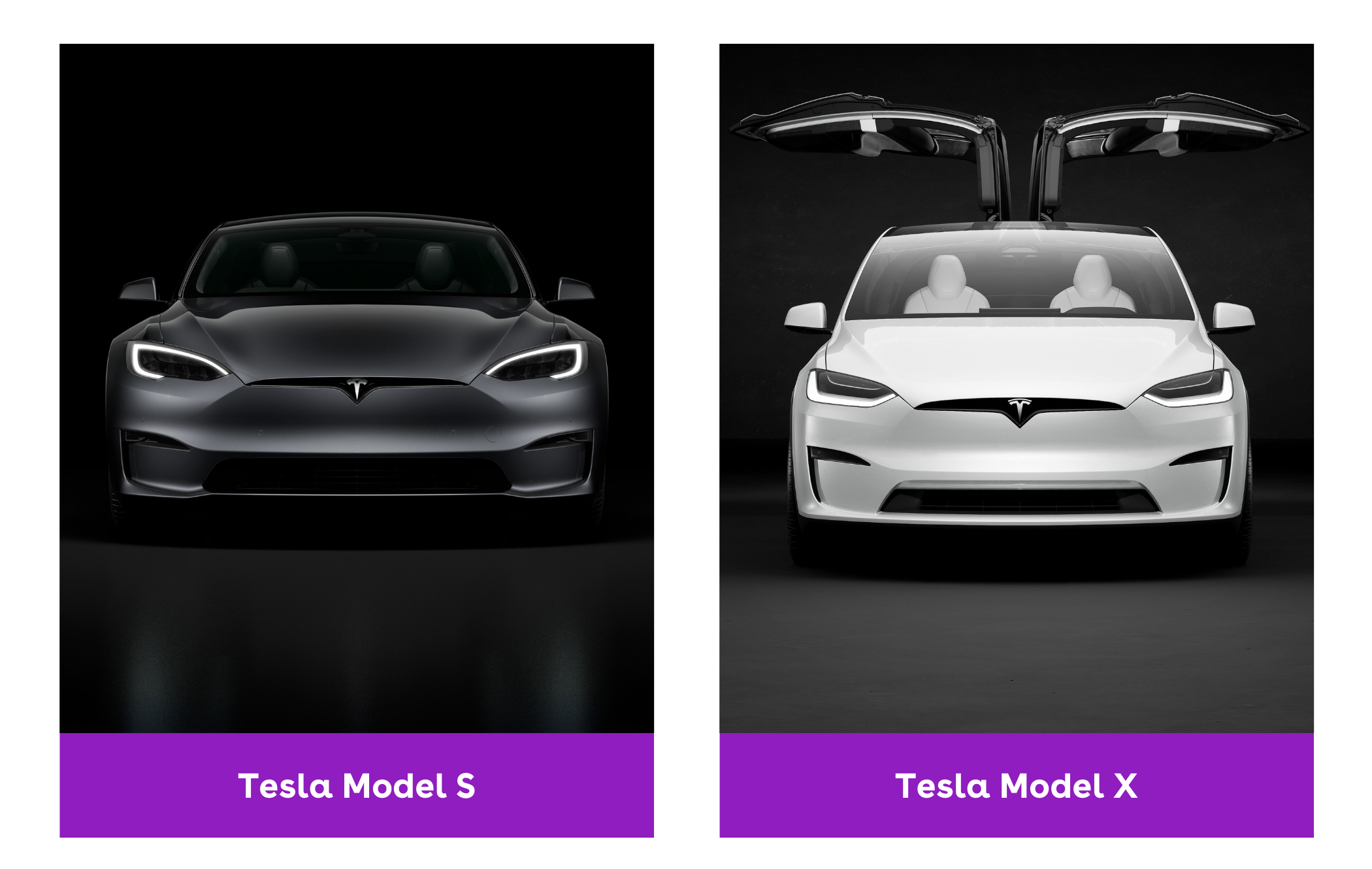 Tesla Model S and Model X to Be Discontinued Soon, Elon Musk Confirms